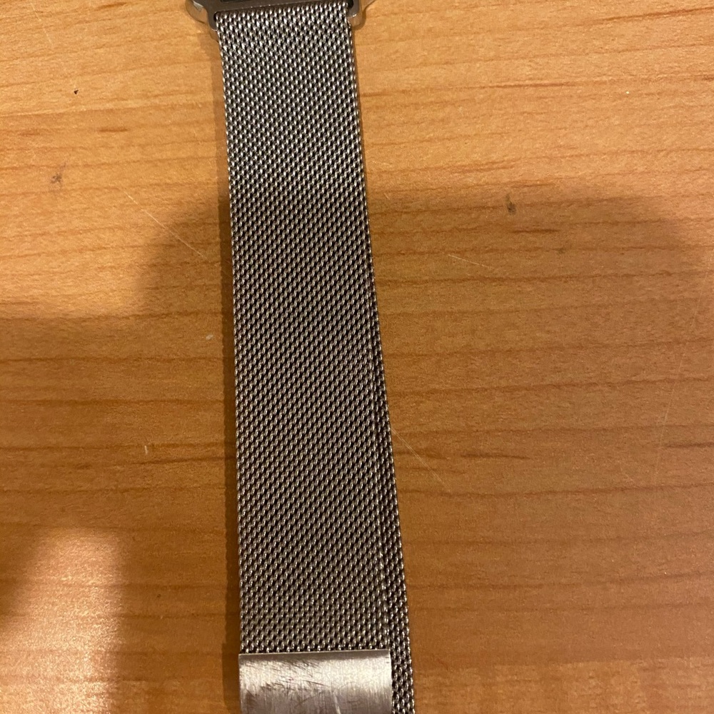 Apple Silver Mesh Band